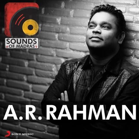 ar rahman 5.1 mp3 songs